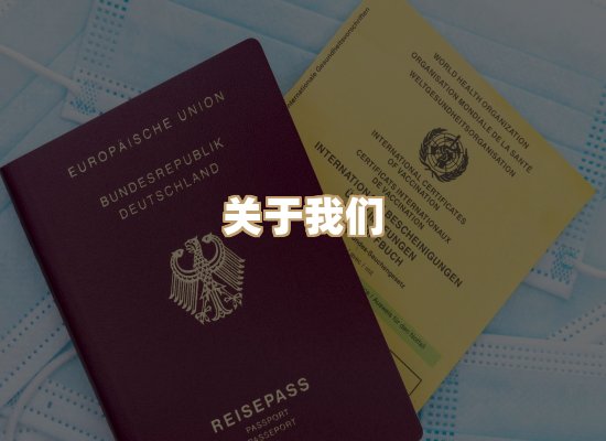 关于紫星资质排版网